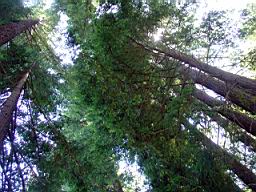 DSC05518.JPG