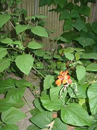 DSC08310.JPG