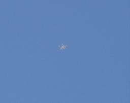 DSC08004.JPG