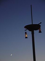 DSC00450.JPG